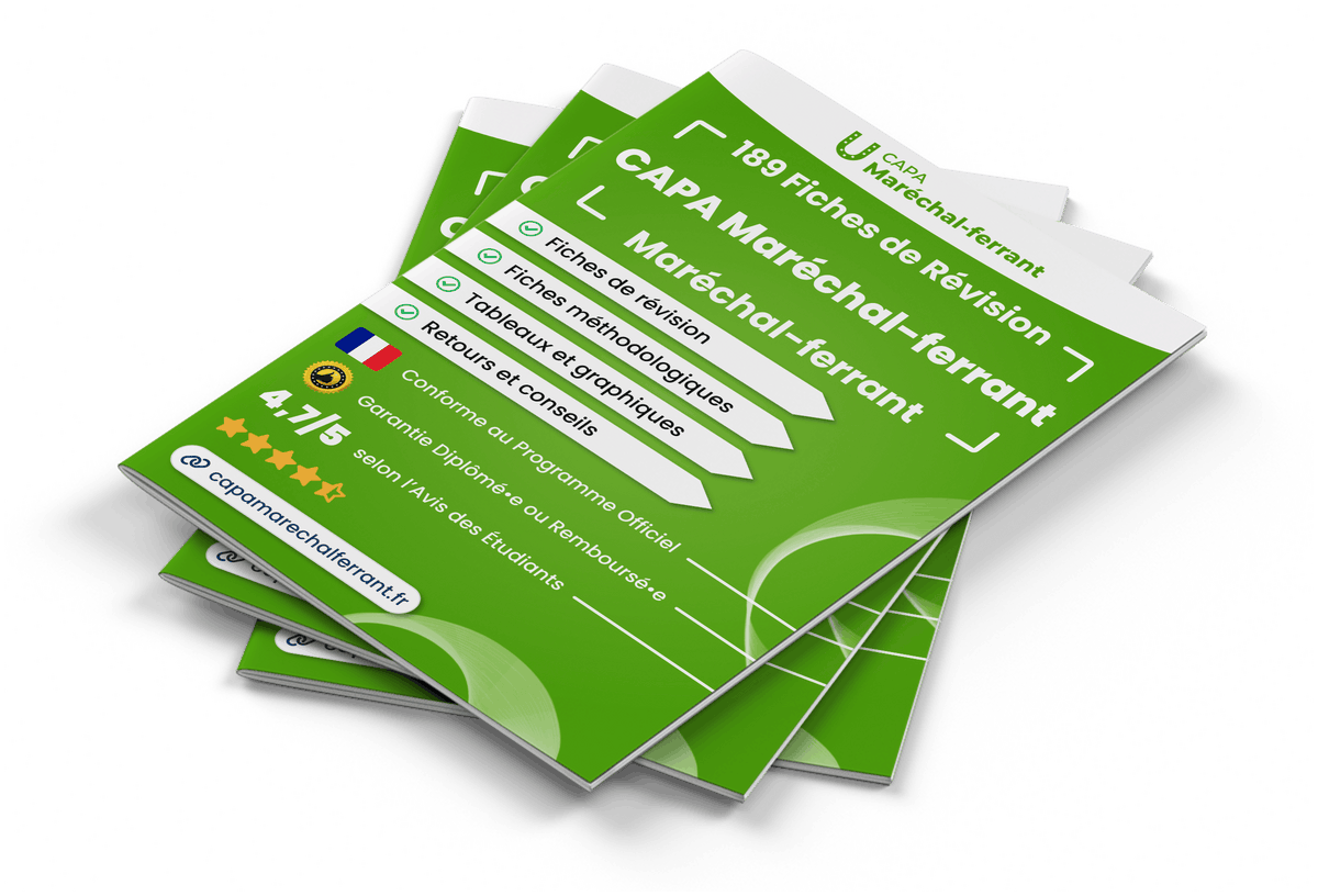 Image produit fiches-de-revision